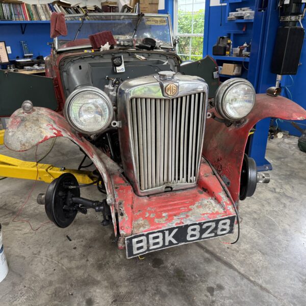 IMG 2719 Import Specialties of Columbia