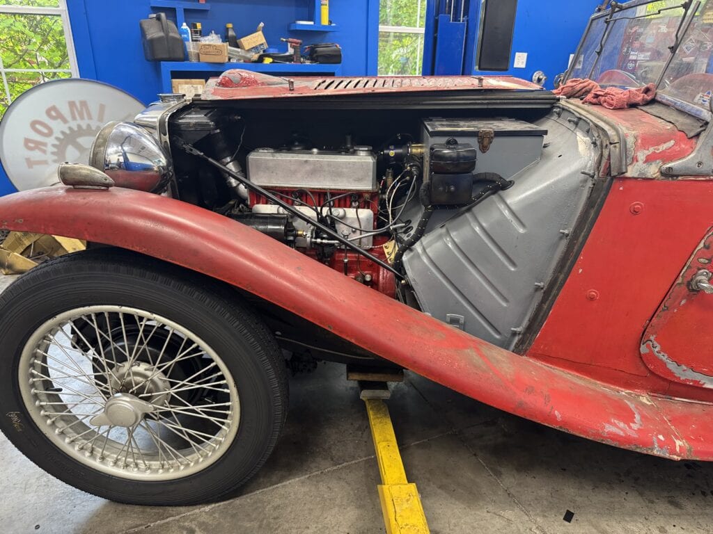 IMG 5872 Import Specialties of Columbia