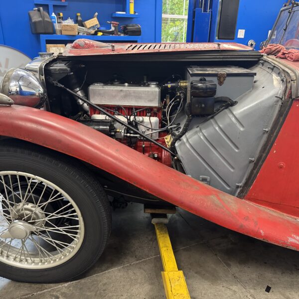 IMG 5872 Import Specialties of Columbia