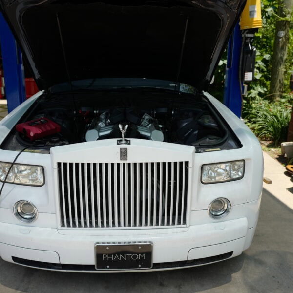 L1070251 Import Specialties of Columbia